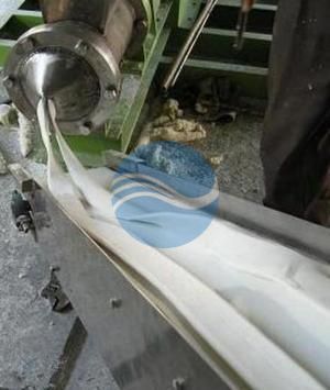 Straps Extruder -Glass Noodle Rice Vermicelli Line Straps Extruder -Glass Noodle Rice Vermicelli Line