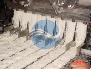 Vermicelli Extruder -Glass Noodle Rice Vermicelli Line Vermicelli Extruder -Glass Noodle Rice Vermicelli Line