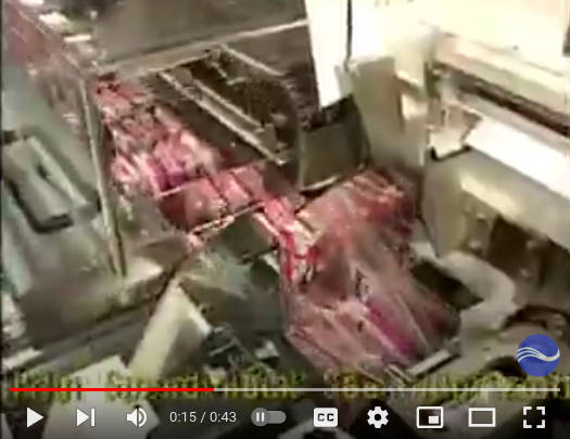 FW341mII/BS/B 高速多包成型灌装封口机