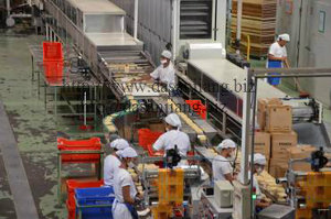 Instant Noodle Machine - Packing Instant Noodle Machine - Packing