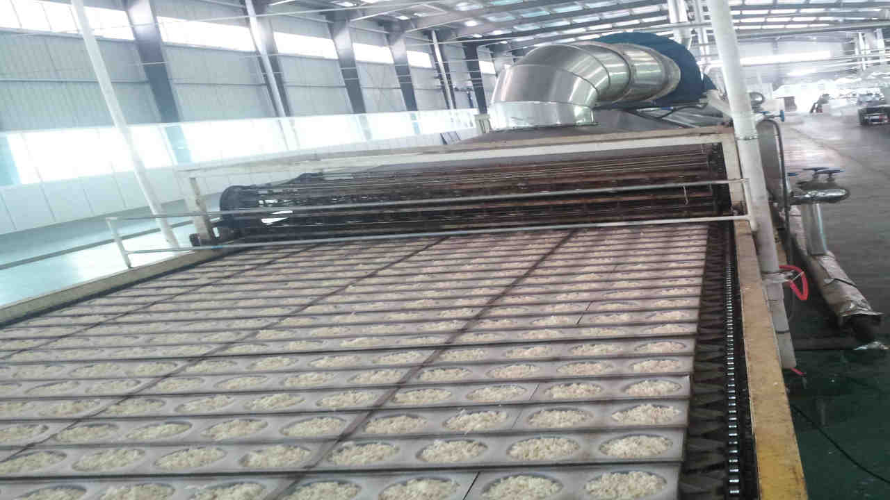 Instant Noodle Production Line - Single Layer Dryer Instant Noodle Production Line - Single Layer Dryer