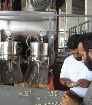 Macaroni Pasta Extruder - Test Run before Delivery Macaroni Pasta Extruder - Test Run before Delivery