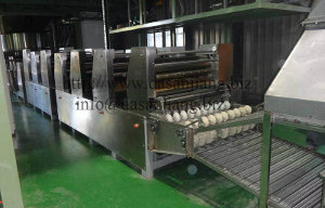 Intant Noodle Machine - Continous Rolling Intant Noodle Machine - Continous Rolling